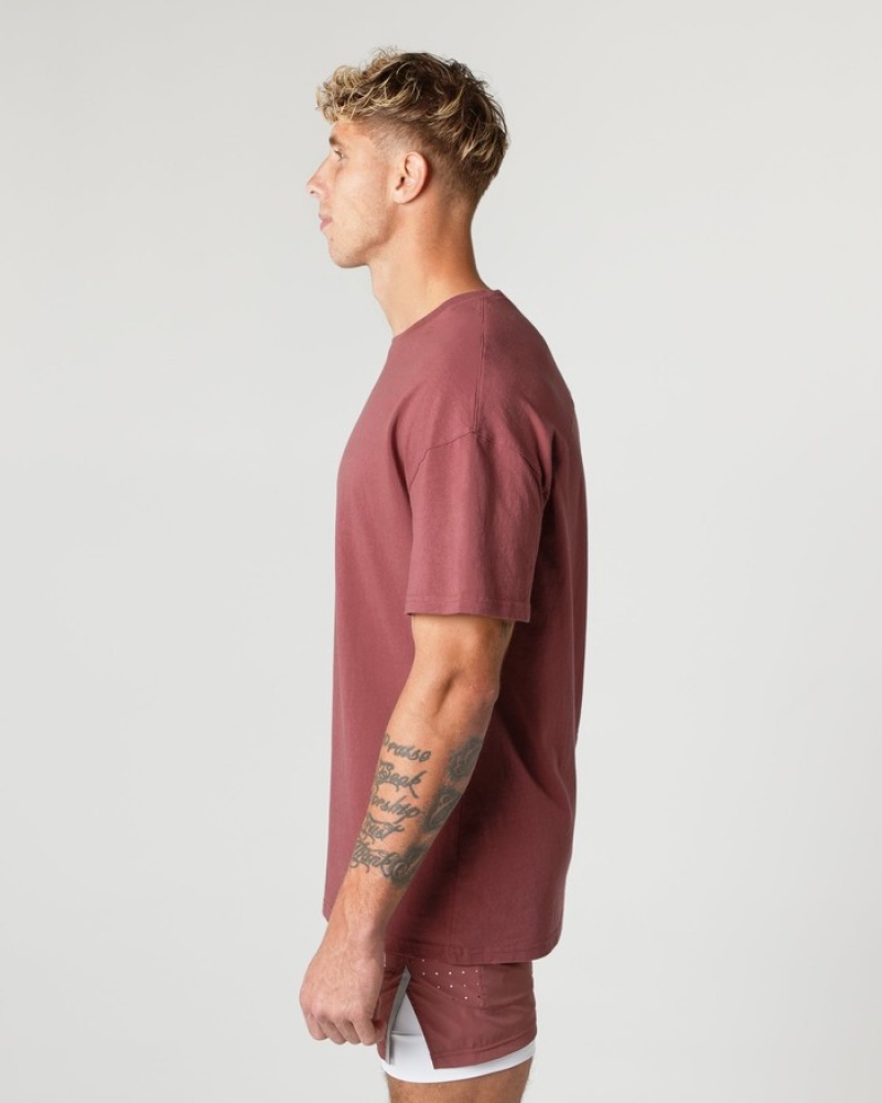 Camasa Barbati Alphalete Heavy Bumbac Core Roz | 327019-BLU