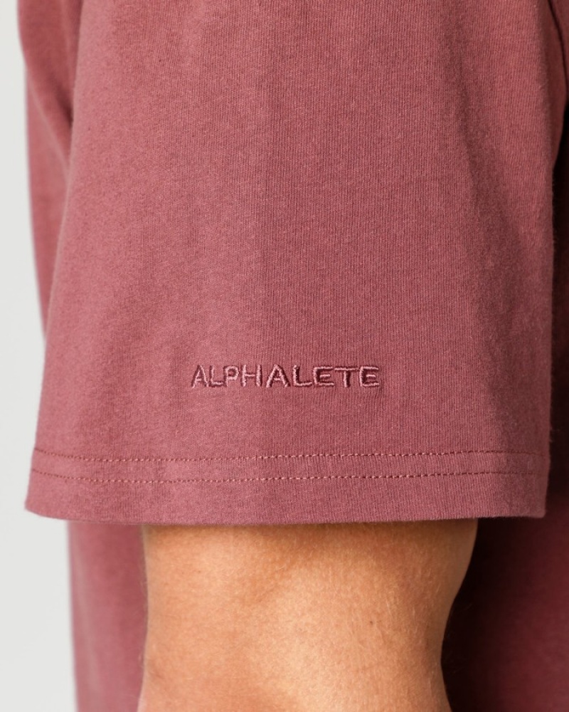 Camasa Barbati Alphalete Heavy Bumbac Core Roz | 327019-BLU
