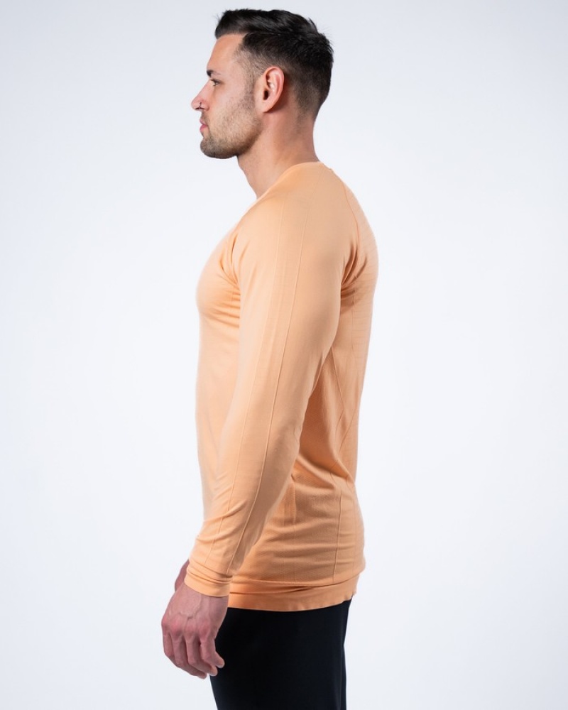 Camasa Barbati Alphalete Hero Long Sleeve Corai | 674510-OPB