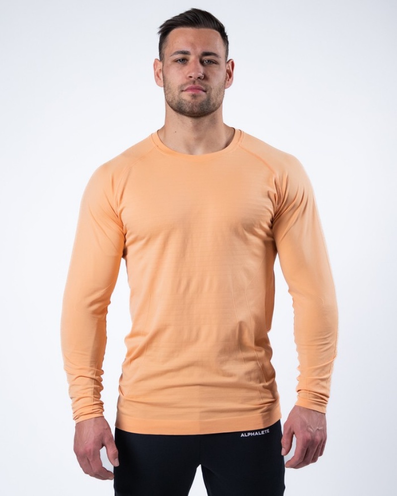 Camasa Barbati Alphalete Hero Long Sleeve Corai | 674510-OPB
