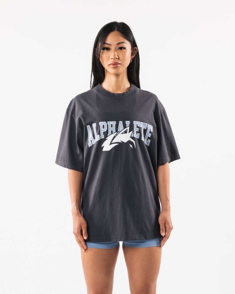 Camasa Barbati Alphalete Wolf Head Albastri | 921467-HQU