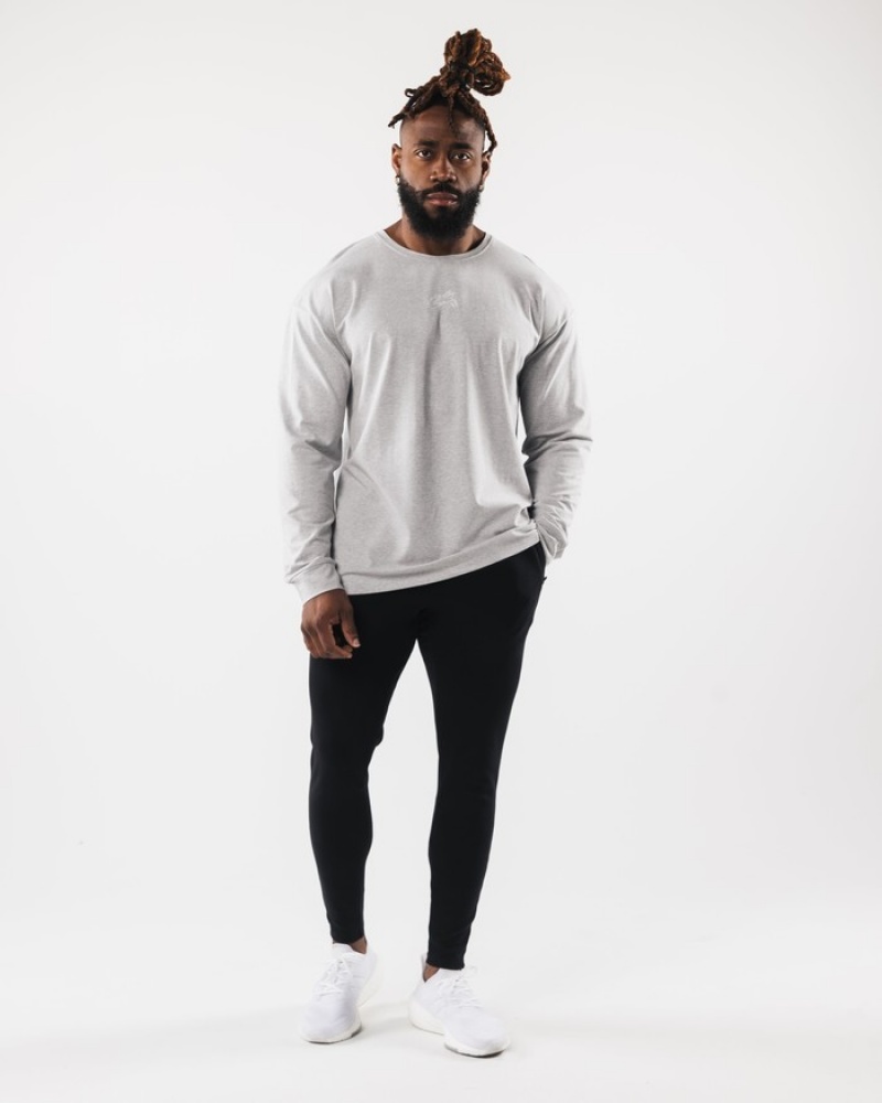 Camasa Barbati Alphalete Wolf Head LS Gri | 638092-UZY