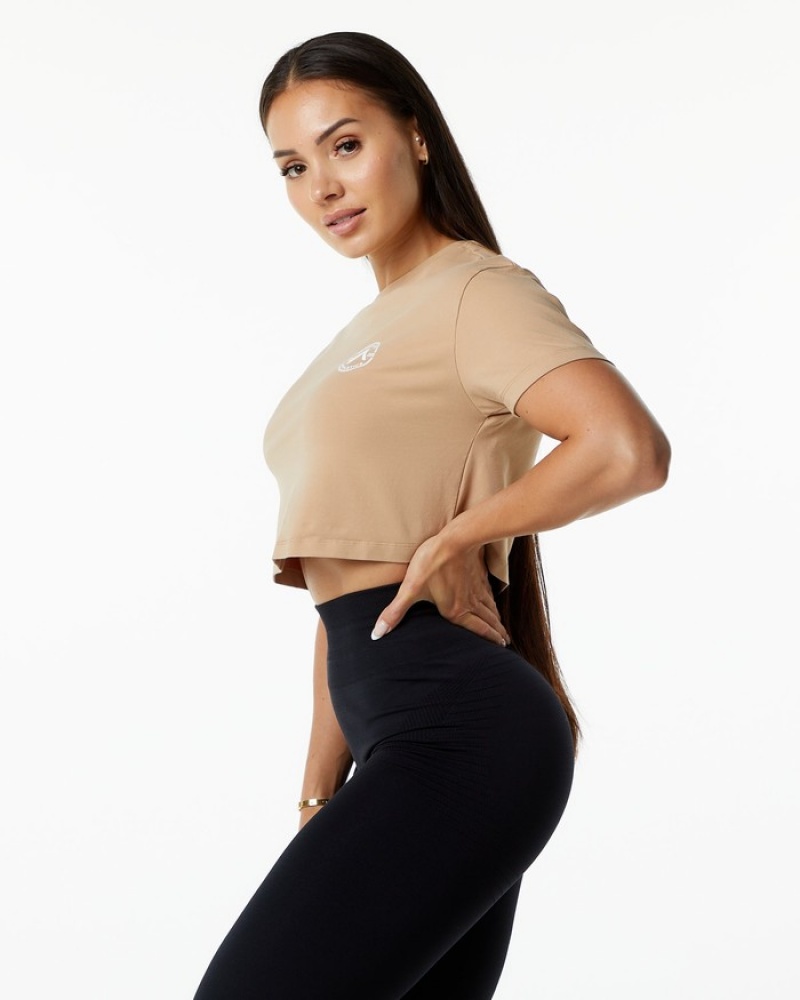Camasa Dama Alphalete Dynasty Crop Gri Maro | 197380-GAP