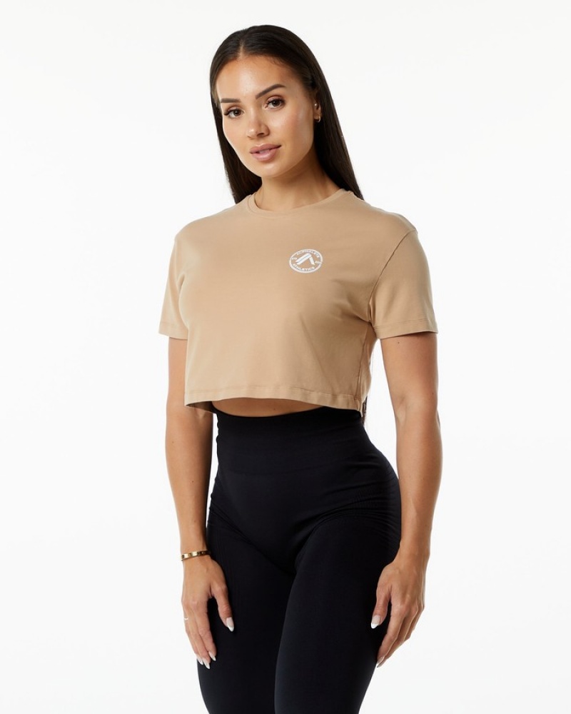 Camasa Dama Alphalete Dynasty Crop Gri Maro | 197380-GAP