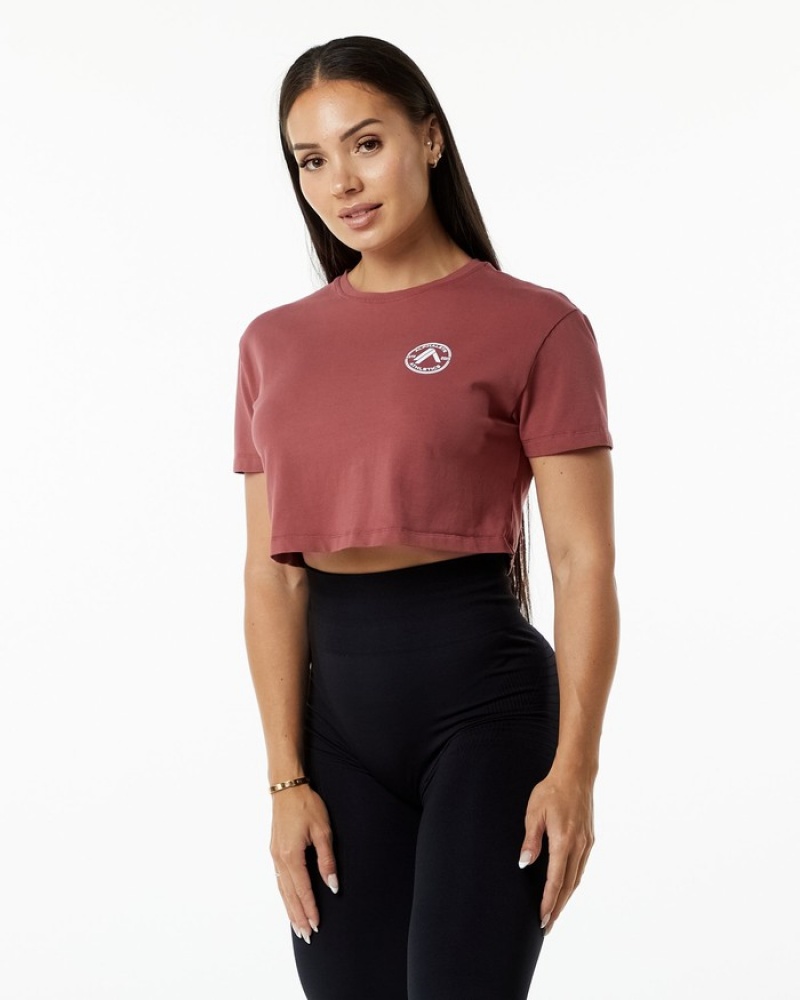 Camasa Dama Alphalete Dynasty Crop Visinii | 083916-RJX