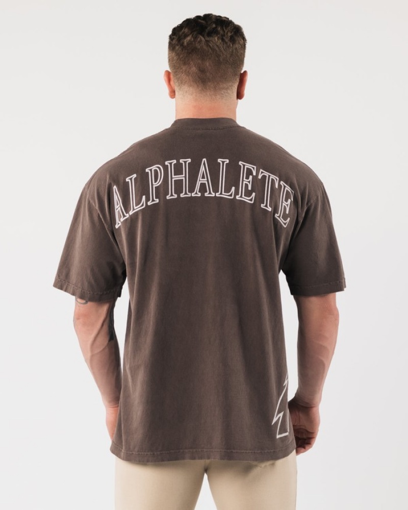 Camasa Dama Alphalete Giant Wolf Head Gri | 896504-ETN