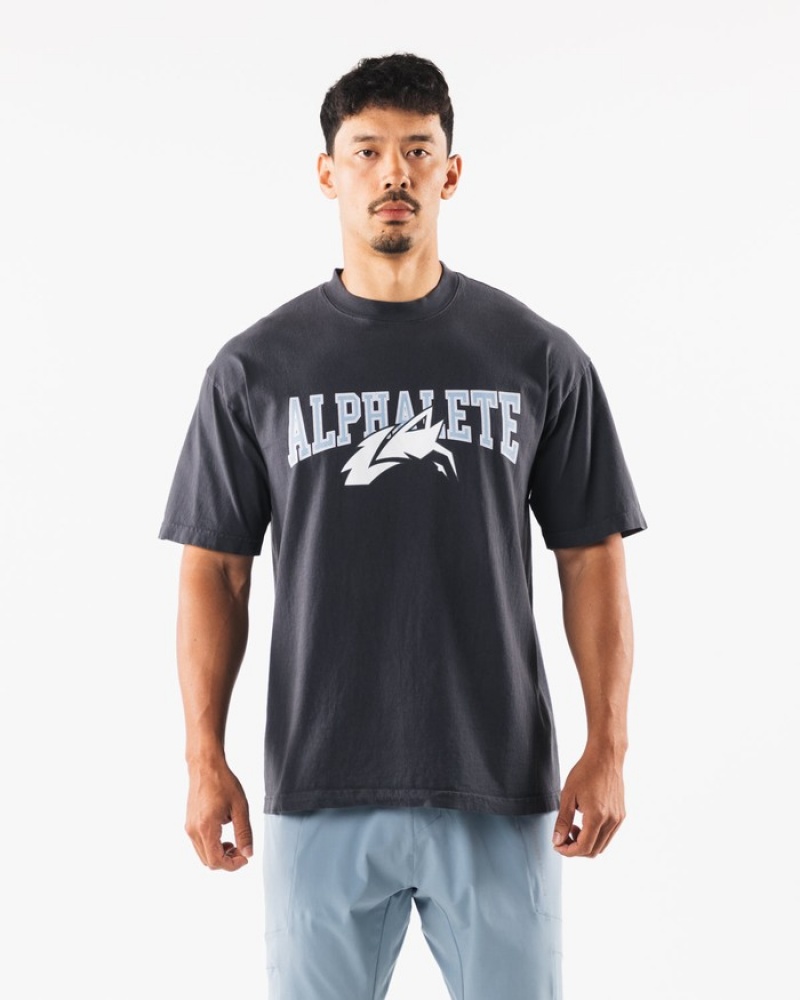 Camasa Dama Alphalete Wolf Head Albastri | 185307-COP