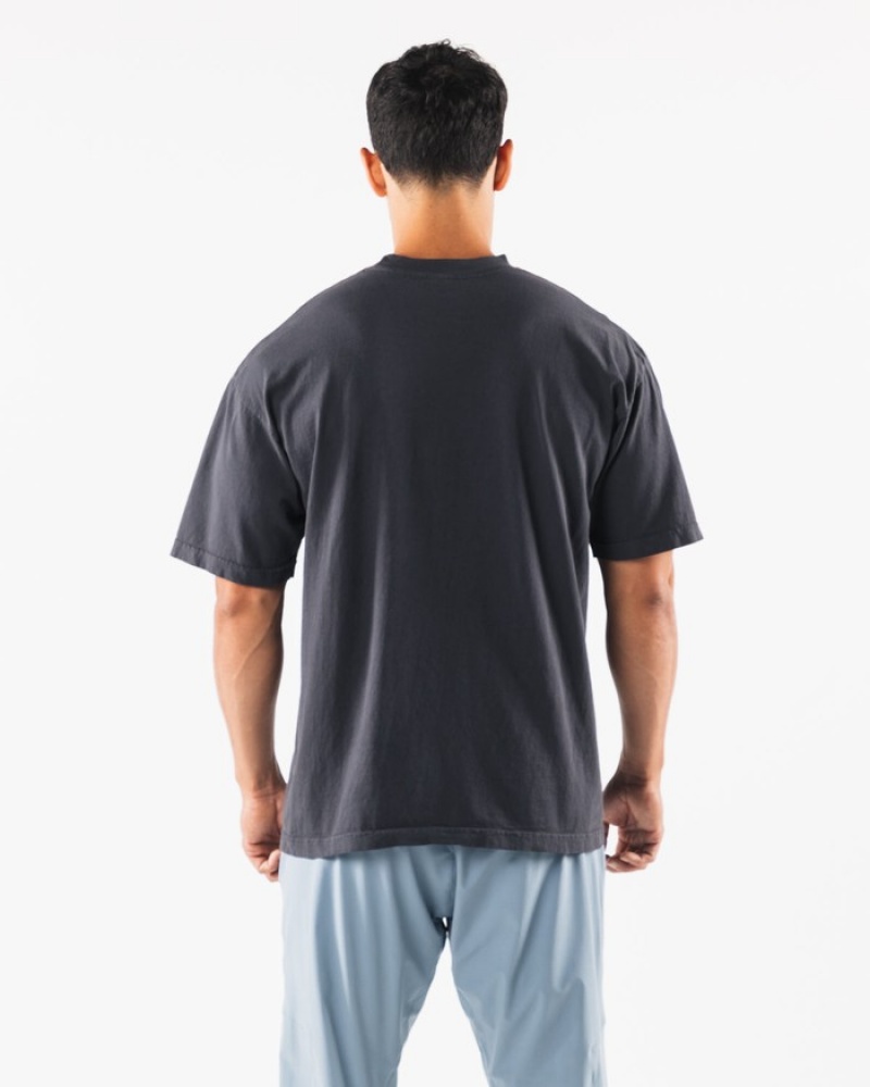 Camasa Dama Alphalete Wolf Head Albastri | 185307-COP