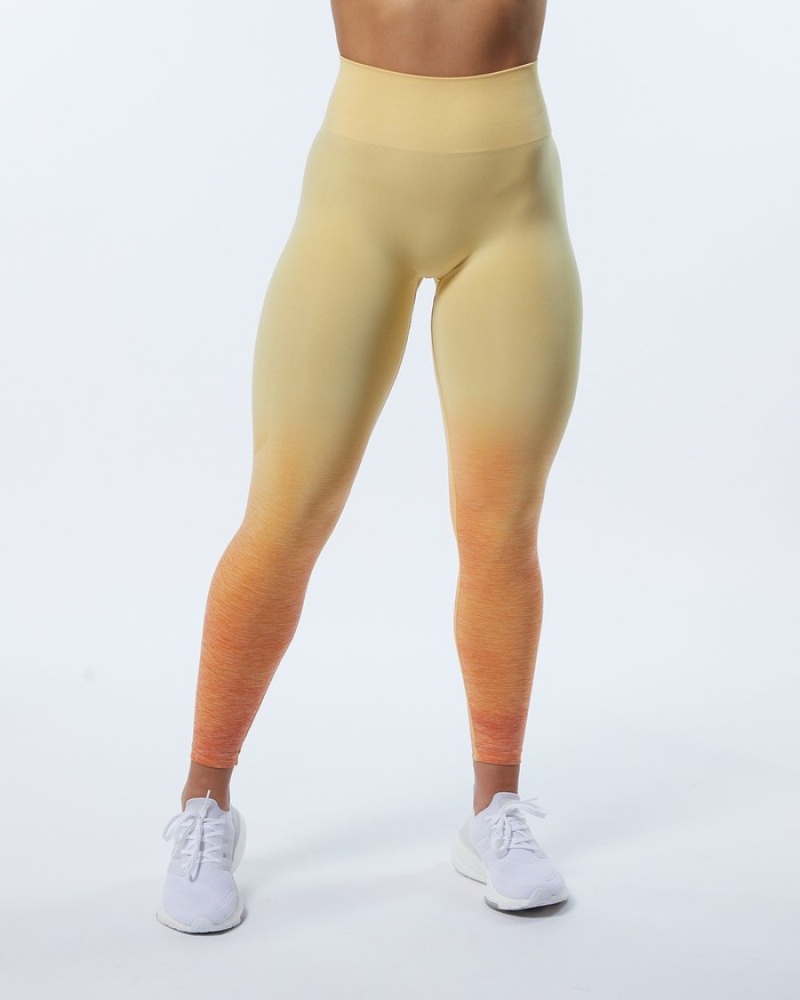 Colanti Dama Alphalete Ombre Amplify Portocalii | 034896-XRQ