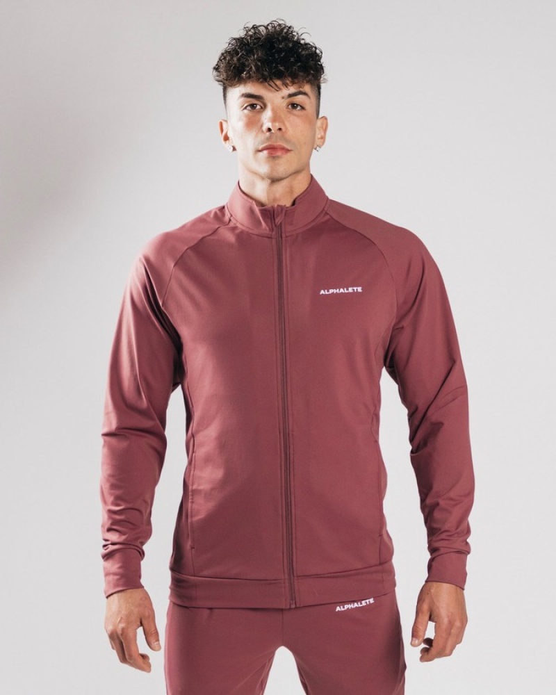 Geaca Barbati Alphalete Trace Violet | 913407-NPV