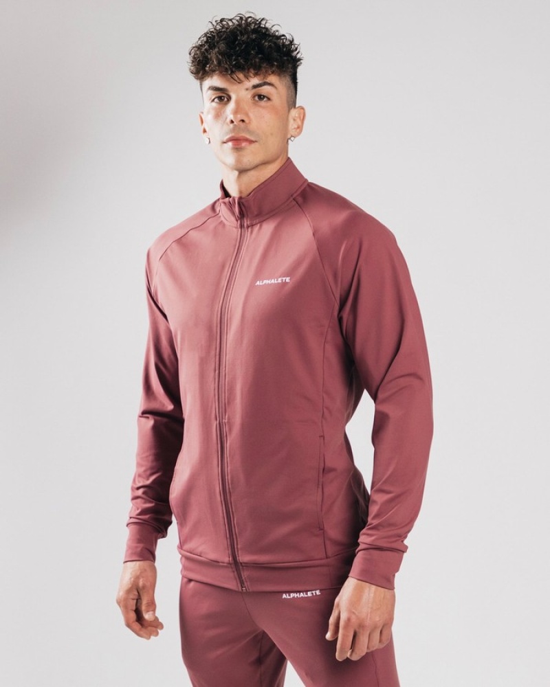 Geaca Barbati Alphalete Trace Violet | 913407-NPV