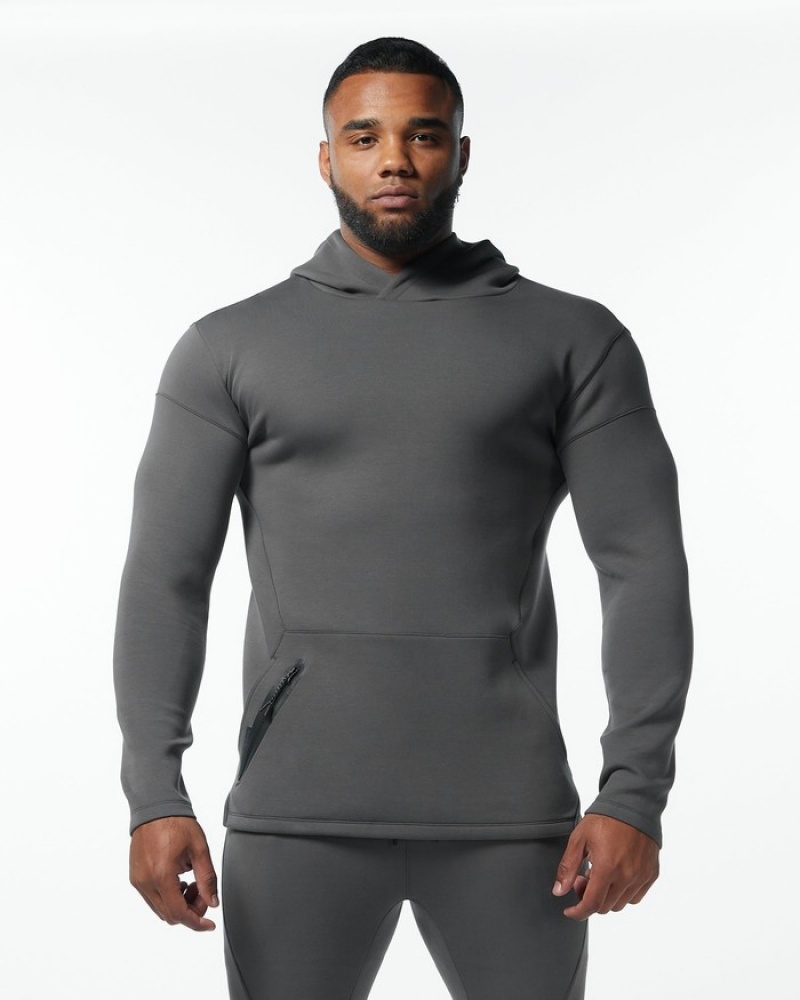 Hanorac Cu Gluga Barbati Alphalete ELMTS Fitted Gri | 086573-LIH