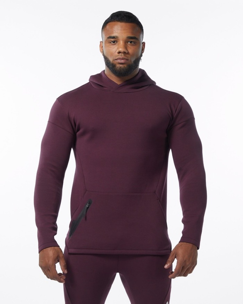 Hanorac Cu Gluga Barbati Alphalete ELMTS Fitted Visinii | 479506-RYC