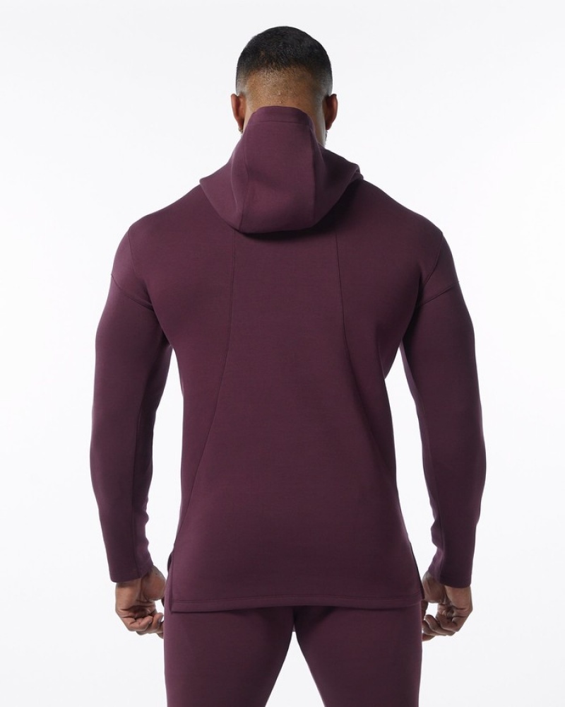 Hanorac Cu Gluga Barbati Alphalete ELMTS Fitted Visinii | 479506-RYC