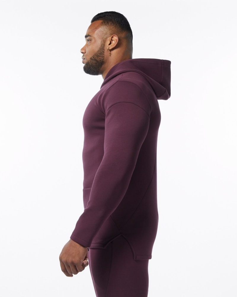 Hanorac Cu Gluga Barbati Alphalete ELMTS Fitted Visinii | 479506-RYC