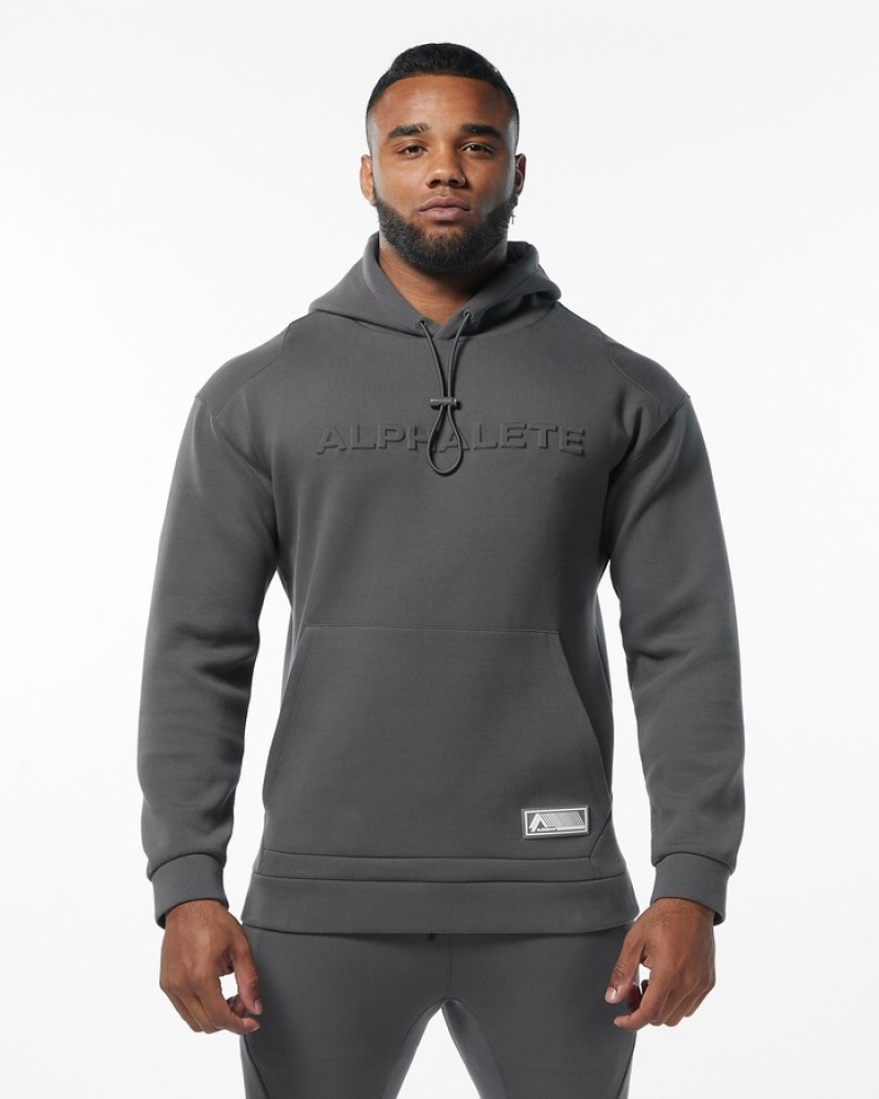 Hanorac Cu Gluga Barbati Alphalete ELMTS Gri | 951364-BHW