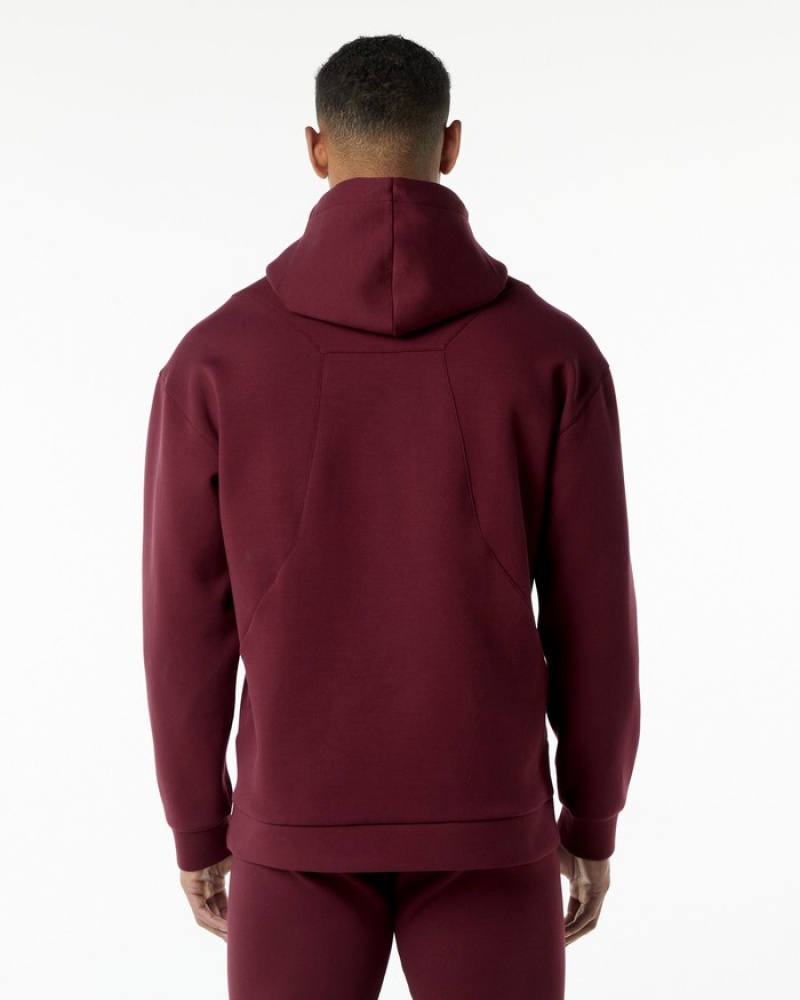 Hanorac Cu Gluga Barbati Alphalete ELMTS Visinii | 653291-CGS