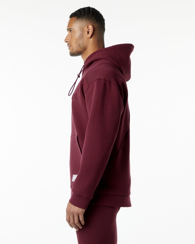 Hanorac Cu Gluga Barbati Alphalete ELMTS Visinii | 653291-CGS