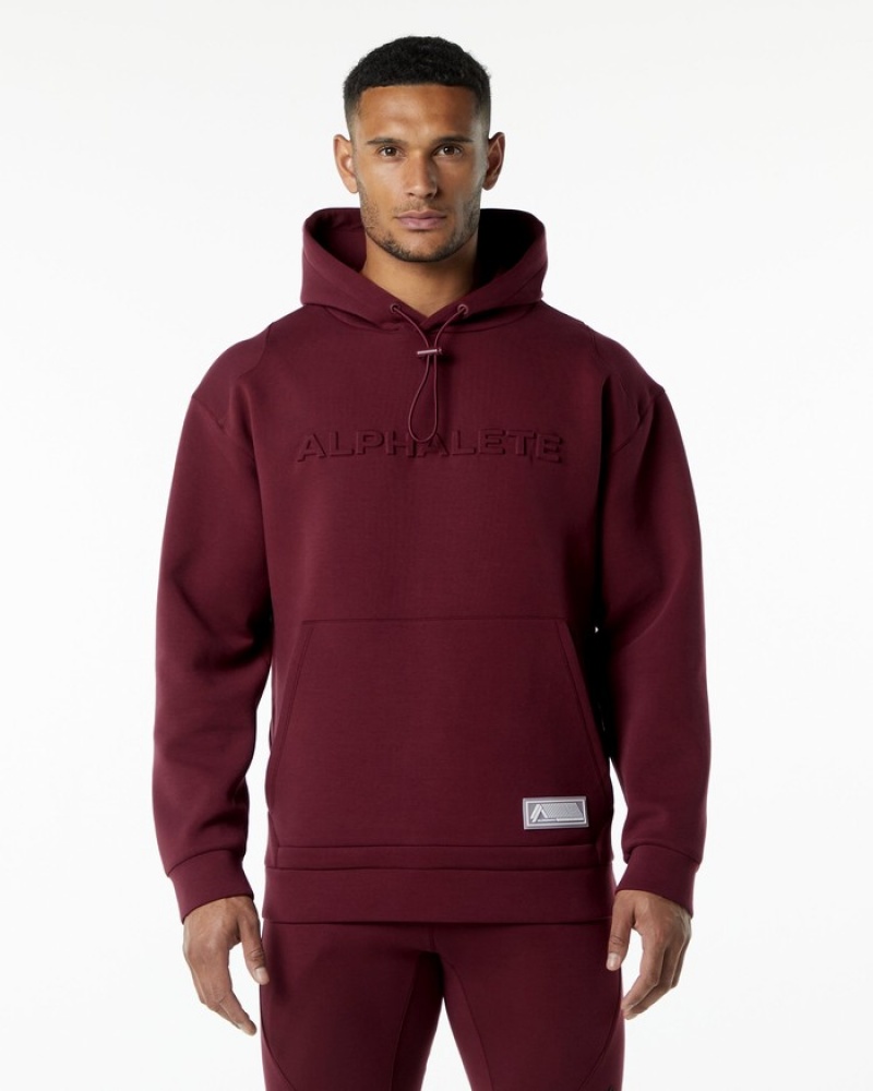Hanorac Cu Gluga Barbati Alphalete ELMTS Visinii | 653291-CGS
