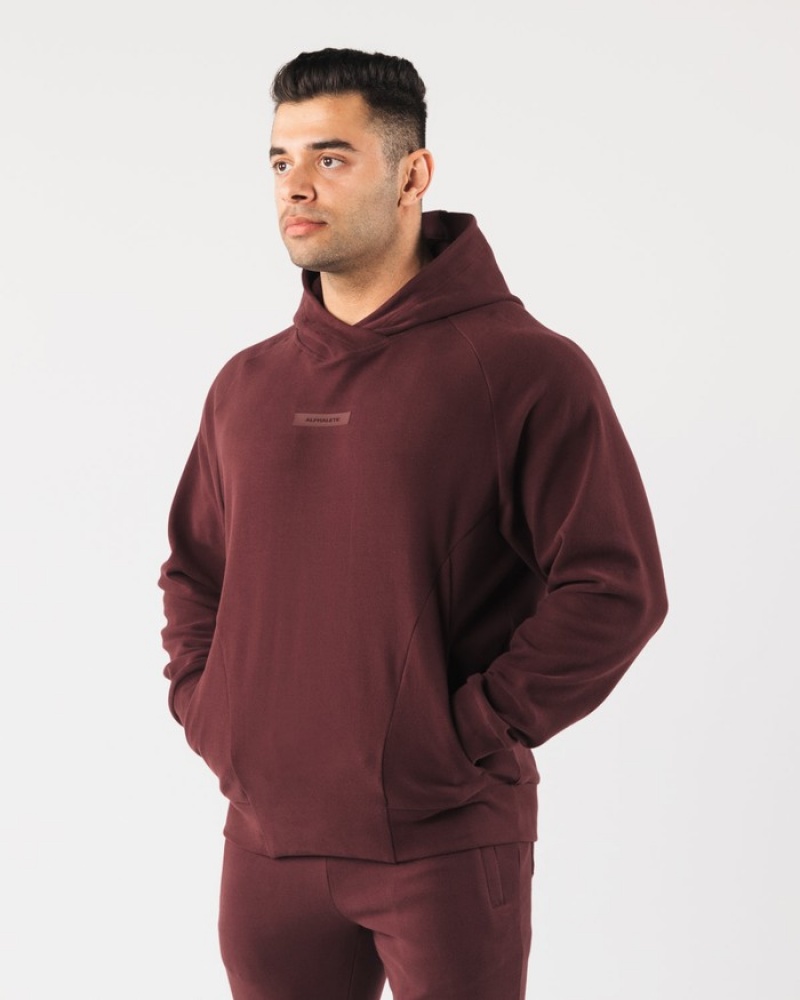Hanorac Cu Gluga Barbati Alphalete Identity Pro Visinii | 823691-ESZ