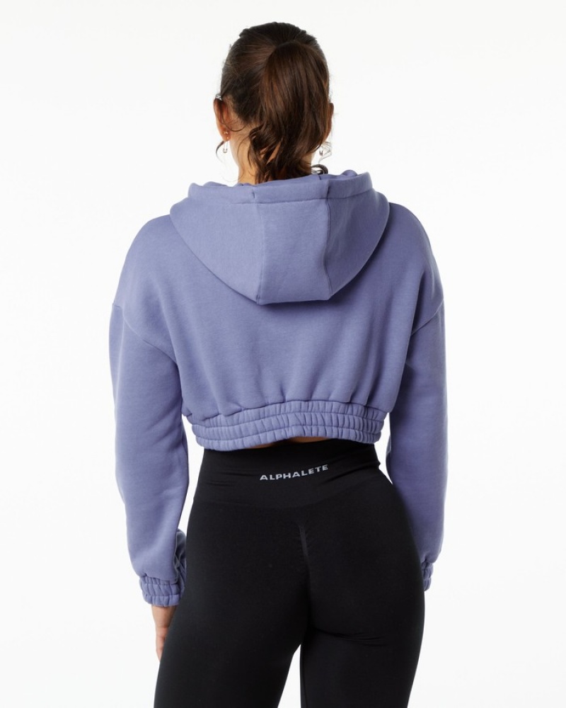 Hanorac Cu Gluga Dama Alphalete Classicital Crop Violet | 865074-BVU