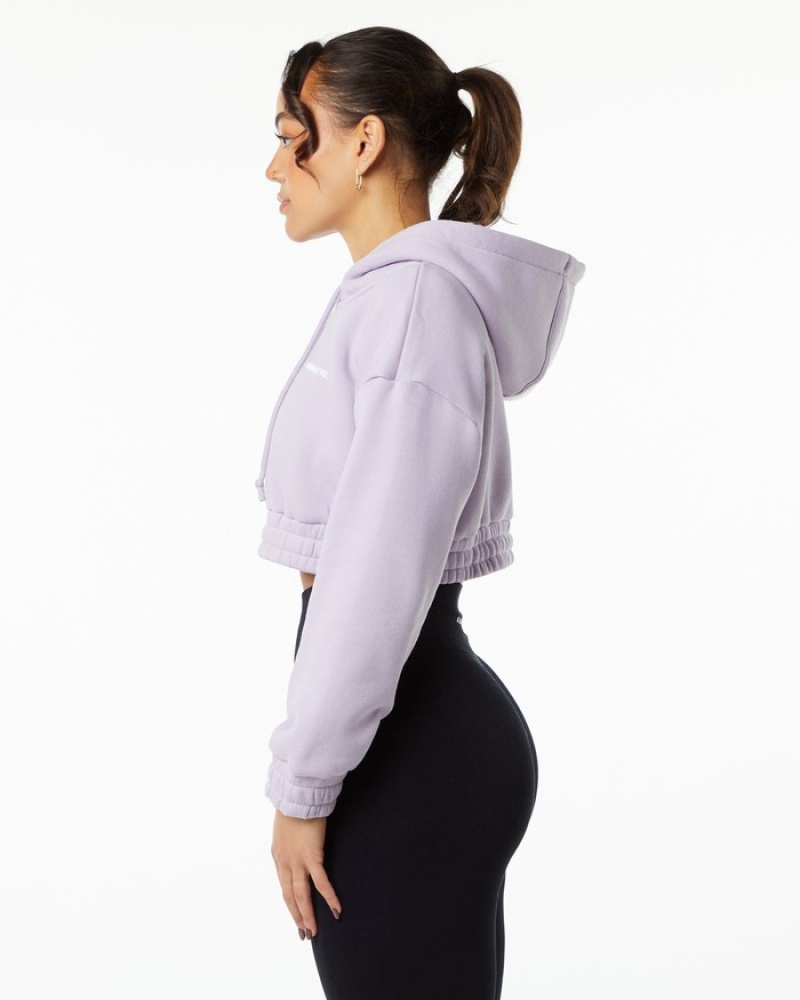Hanorac Cu Gluga Dama Alphalete Classicital Crop Violet | 169205-FNR