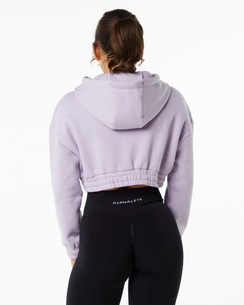 Hanorac Cu Gluga Dama Alphalete Classicital Crop Violet | 169205-FNR