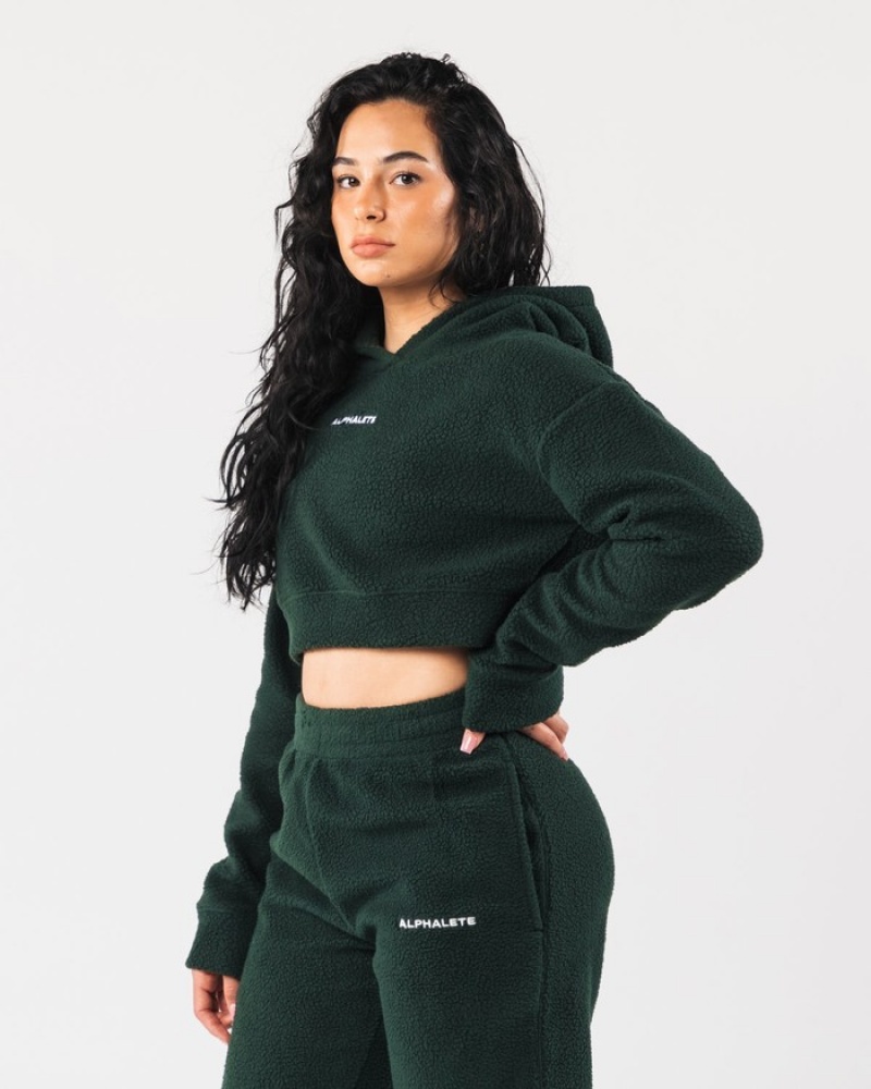 Hanorac Cu Gluga Dama Alphalete King Crop Verzi | 543926-CAL