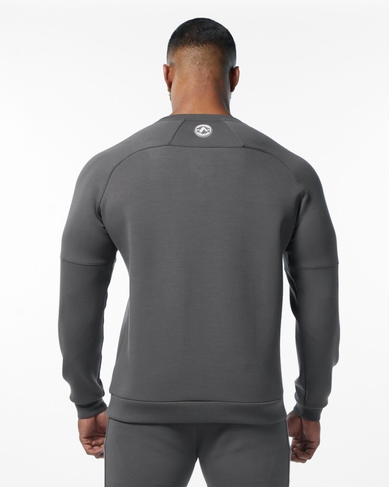 Hanorace Barbati Alphalete ELMTS Crewneck Gri | 184932-HNW