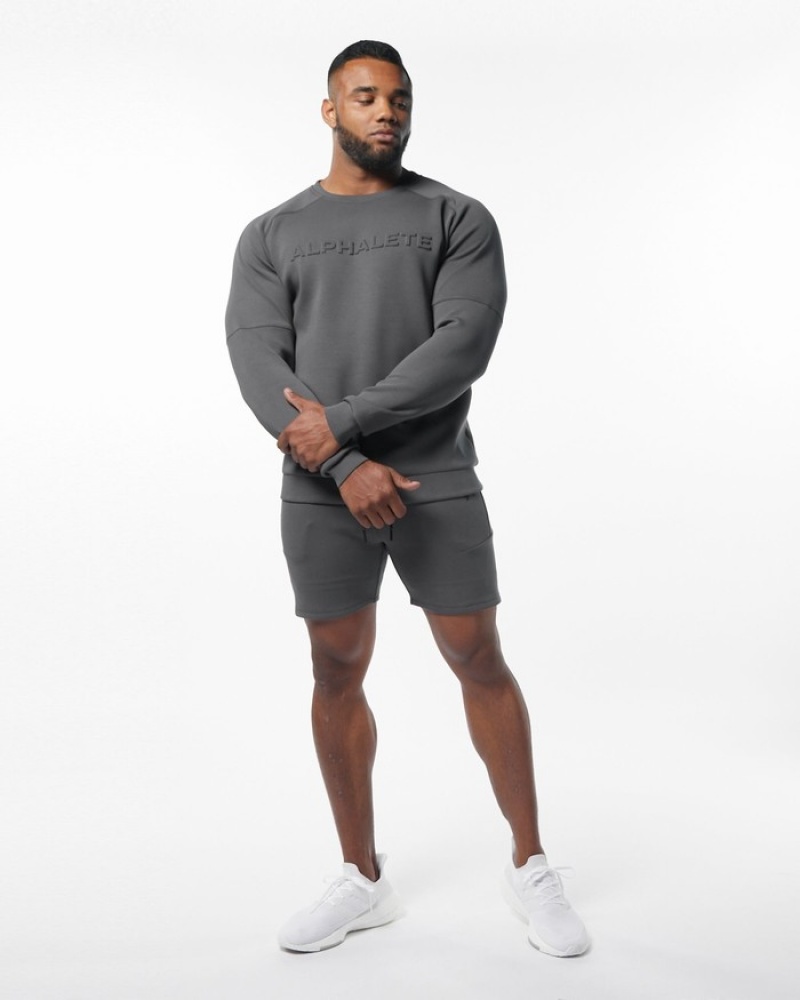 Hanorace Barbati Alphalete ELMTS Crewneck Gri | 184932-HNW