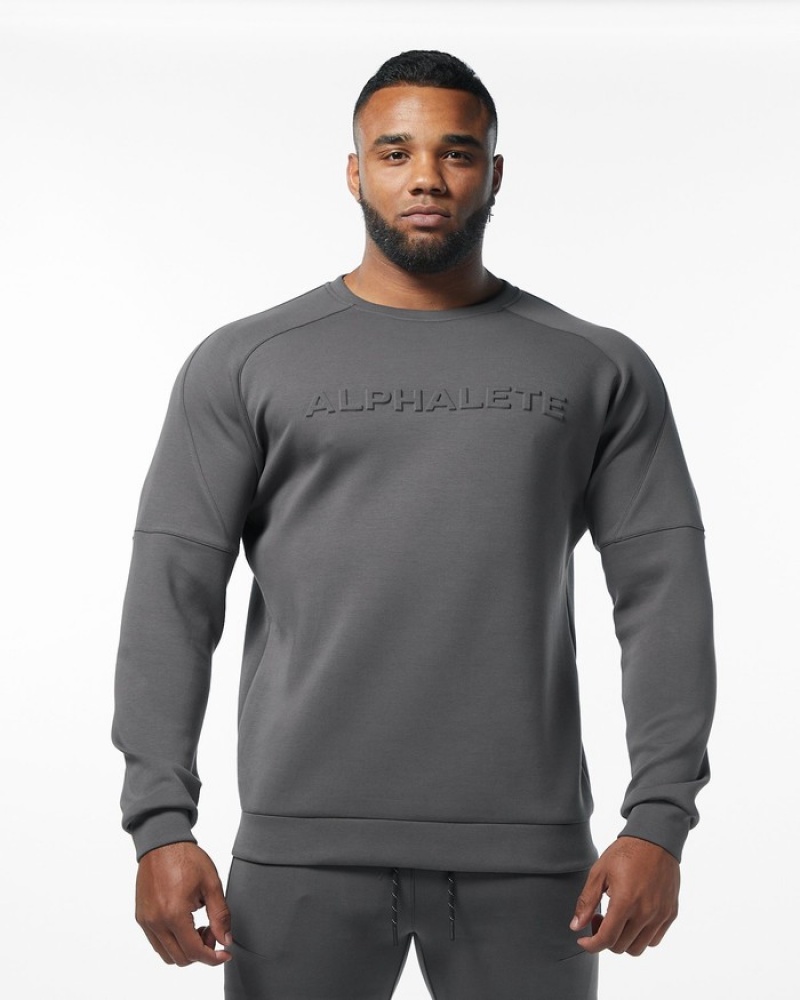 Hanorace Barbati Alphalete ELMTS Crewneck Gri | 184932-HNW