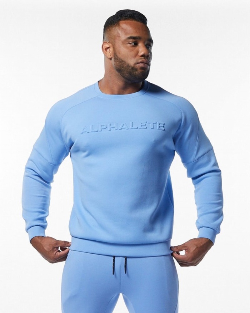 Hanorace Barbati Alphalete ELMTS Crewneck Albastri Deschis | 329485-LOG