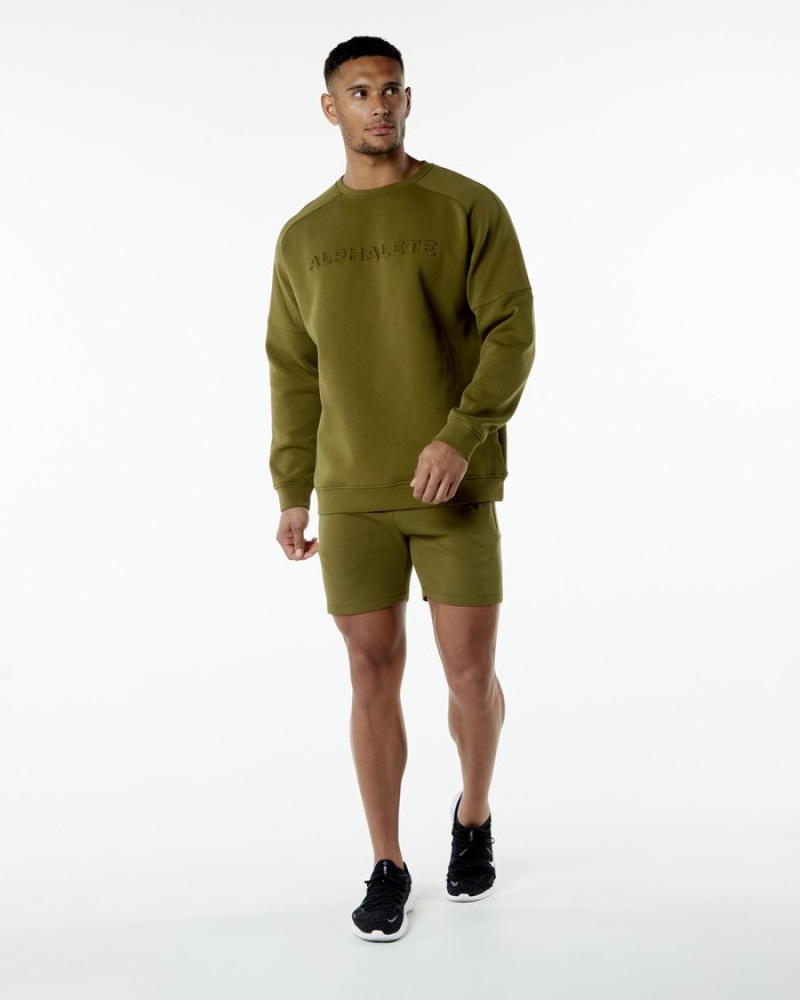 Hanorace Barbati Alphalete ELMTS Crewneck Verzi | 902581-CZY