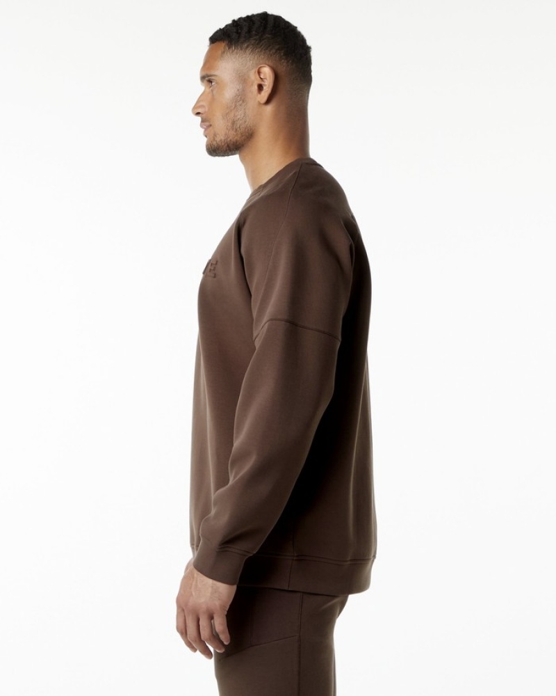 Hanorace Barbati Alphalete ELMTS Crewneck Maro | 936124-QKX