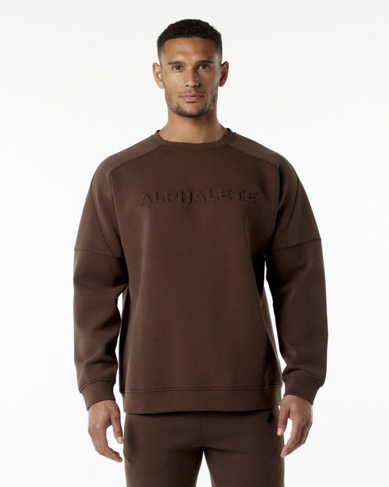 Hanorace Barbati Alphalete ELMTS Crewneck Maro | 936124-QKX