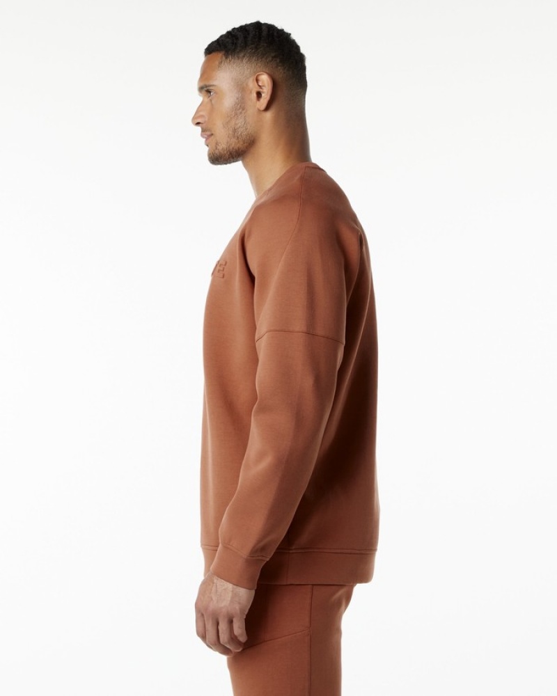 Hanorace Barbati Alphalete ELMTS Crewneck Rosii Inchis | 269130-SHZ