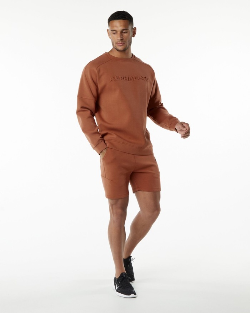 Hanorace Barbati Alphalete ELMTS Crewneck Rosii Inchis | 269130-SHZ