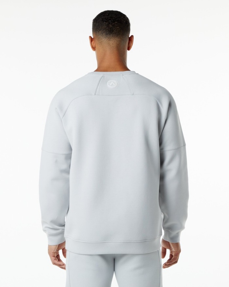 Hanorace Barbati Alphalete ELMTS Crewneck Gri | 396748-OMB