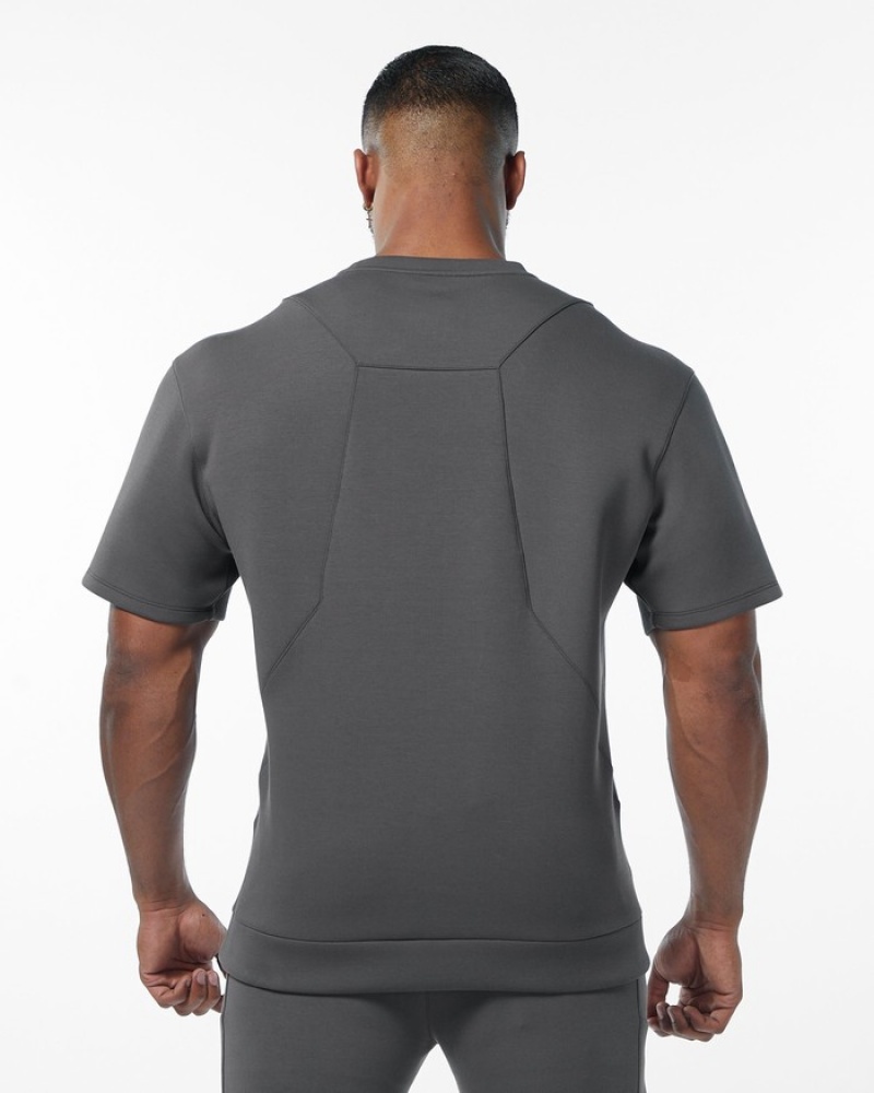 Hanorace Barbati Alphalete ELMTS Half Sleeve Pullover Gri | 429631-VDW