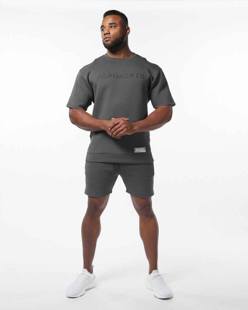Hanorace Barbati Alphalete ELMTS Half Sleeve Pullover Gri | 429631-VDW