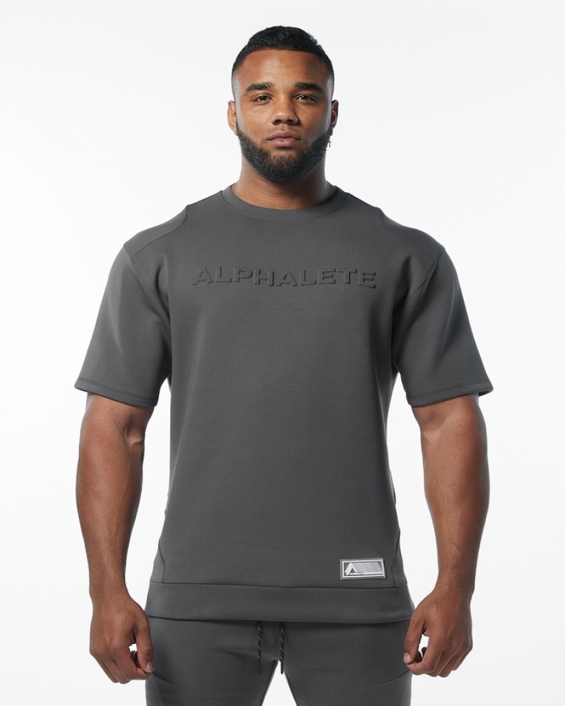 Hanorace Barbati Alphalete ELMTS Half Sleeve Pullover Gri | 429631-VDW