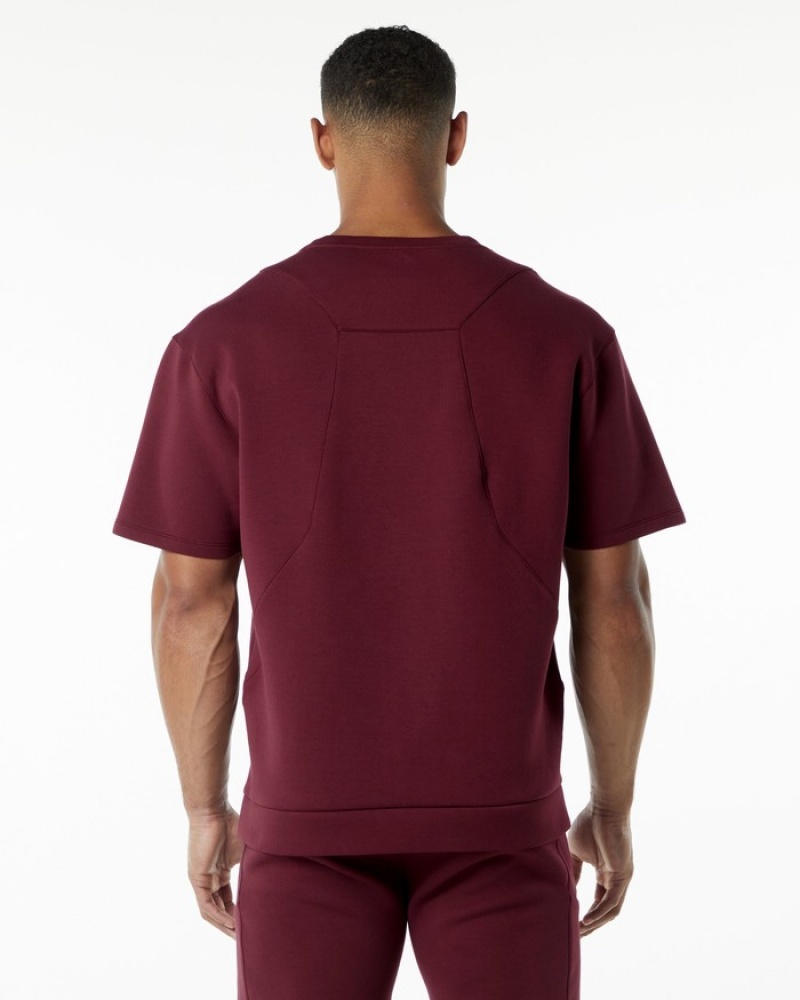 Hanorace Barbati Alphalete ELMTS Half Sleeve Pullover Visinii | 018954-FRY