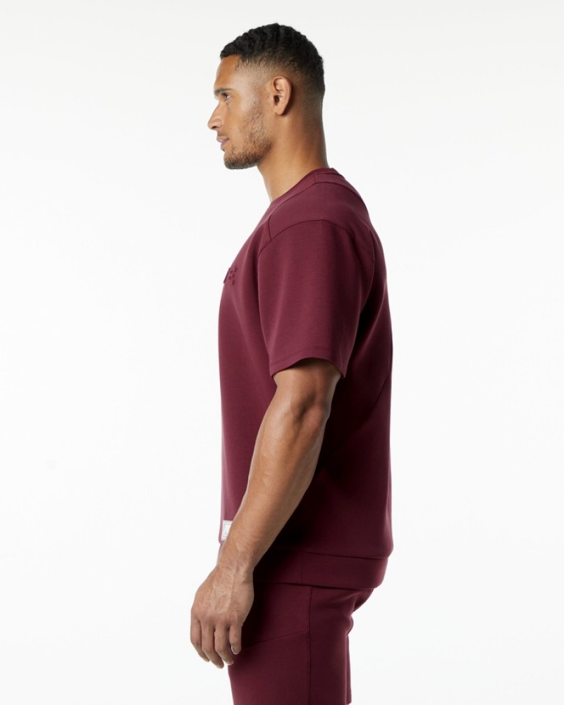 Hanorace Barbati Alphalete ELMTS Half Sleeve Pullover Visinii | 018954-FRY