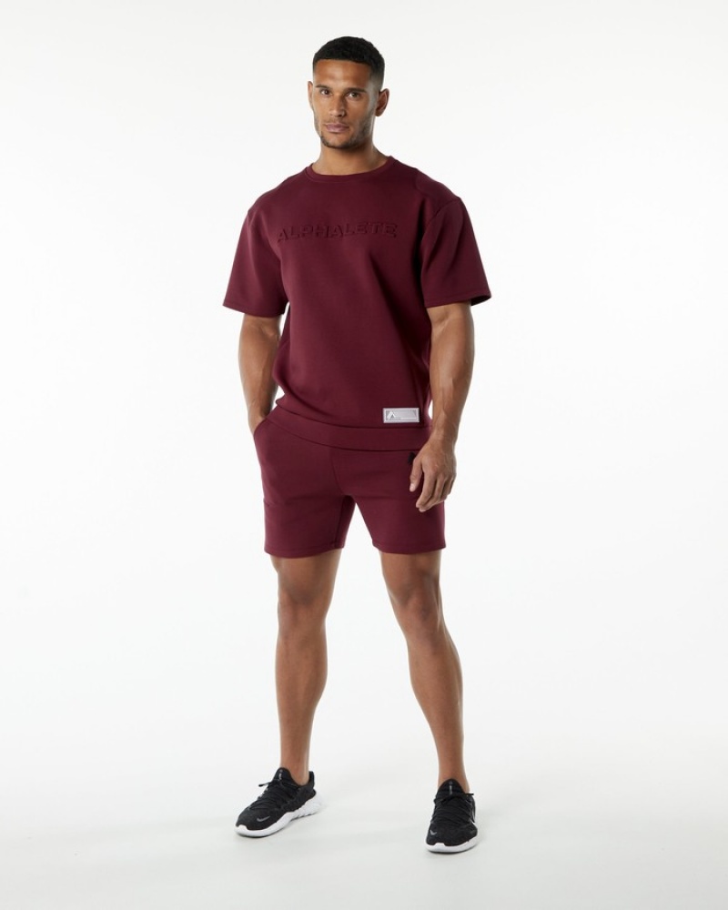 Hanorace Barbati Alphalete ELMTS Half Sleeve Pullover Visinii | 018954-FRY