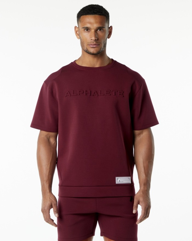 Hanorace Barbati Alphalete ELMTS Half Sleeve Pullover Visinii | 018954-FRY