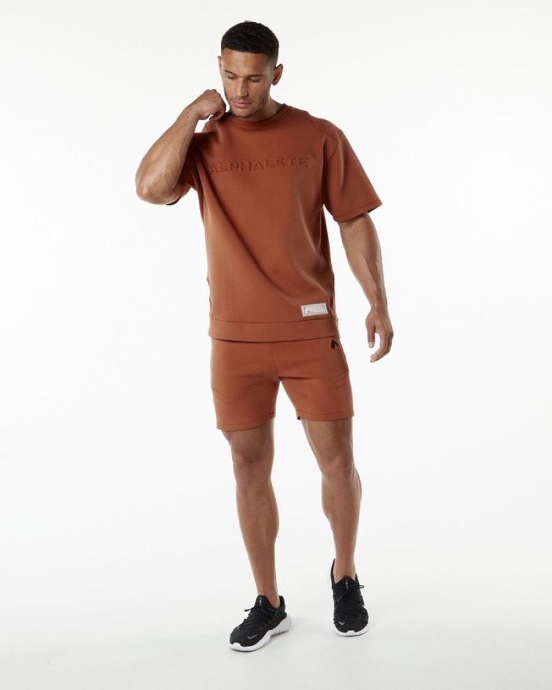 Hanorace Barbati Alphalete ELMTS Half Sleeve Pullover Rosii Inchis | 805913-MJW