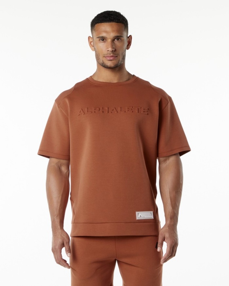 Hanorace Barbati Alphalete ELMTS Half Sleeve Pullover Rosii Inchis | 805913-MJW