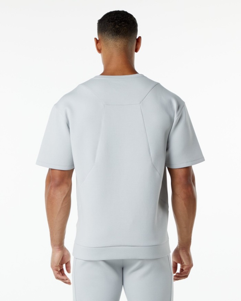 Hanorace Barbati Alphalete ELMTS Half Sleeve Pullover Gri | 935108-BJW