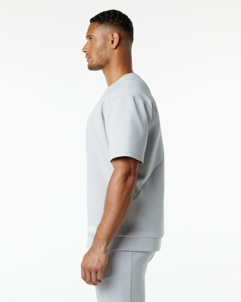 Hanorace Barbati Alphalete ELMTS Half Sleeve Pullover Gri | 935108-BJW
