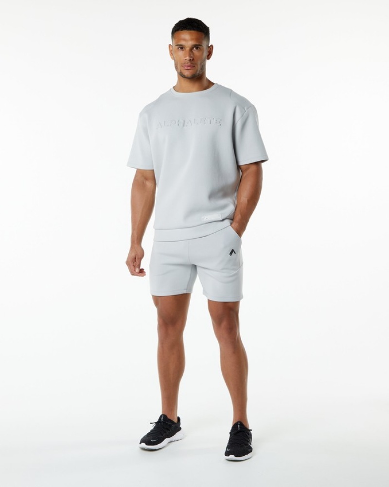 Hanorace Barbati Alphalete ELMTS Half Sleeve Pullover Gri | 935108-BJW